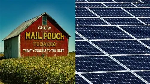 Преобразование табачных ферм в солнечные фермы - беспроигрышный вариант, говорится в новом исследовании