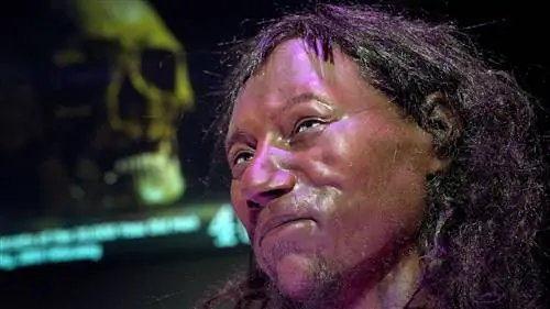 Секвенирование ДНК показало, что «Человек из Чеддера» - самый старый скелет в Великобритании - определенно не был белым парнем