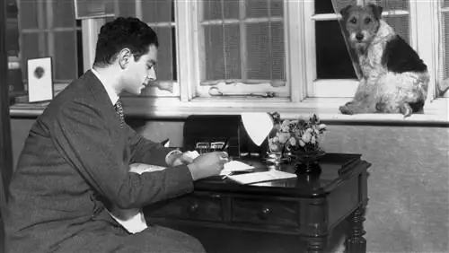 6 известных писателей, которые не заработали ни копейки