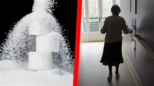 Десятилетнее исследование связывает снижение когнитивных функций с высоким уровнем сахара в крови