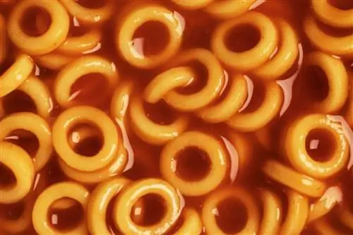 Употребление в пищу «ультраобработанных» продуктов связано с раком, согласно новому исследованию