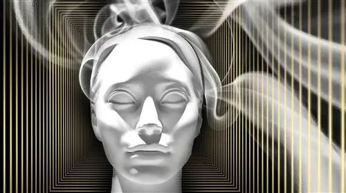 Сознание: Как мозг создает разум?