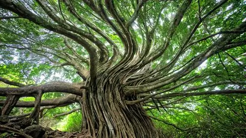 Этот малоизвестный закон физики молча управляет вашей жизнью