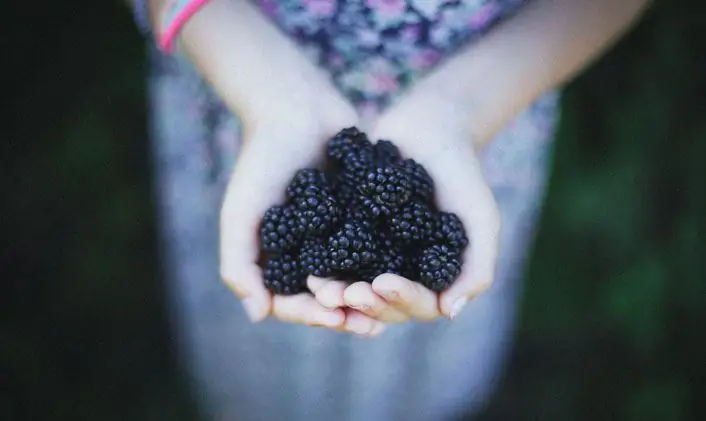 Библия – это история Божьей щедрости