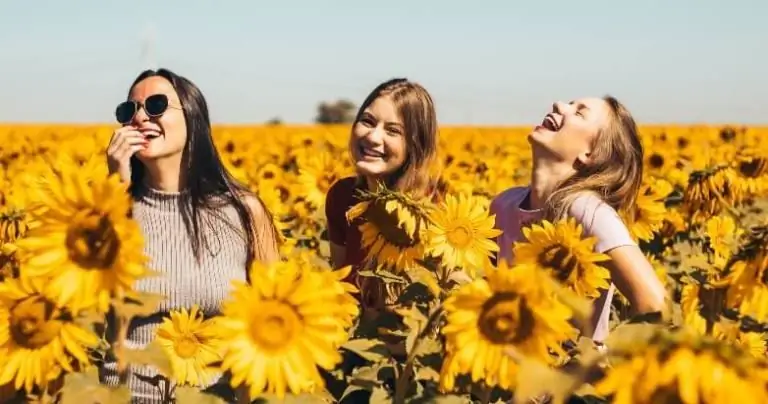 Устроить вечеринку для учебной группы: 5 советов