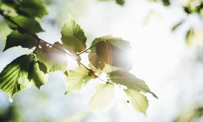 Сатана заинтересован в том, чтобы заставить неверующих думать, что они попадут на небеса