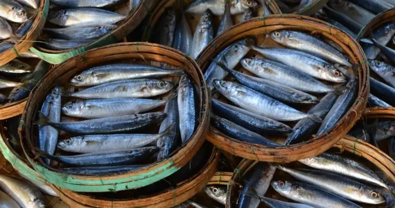 В поисках скрытого смысла в кормлении 5000