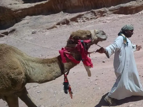 Покатайся со мной в Ливан и Иорданию (и не выходи из дома!)