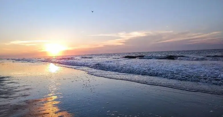 Псалом 119:50: Пятно надежды среди страданий