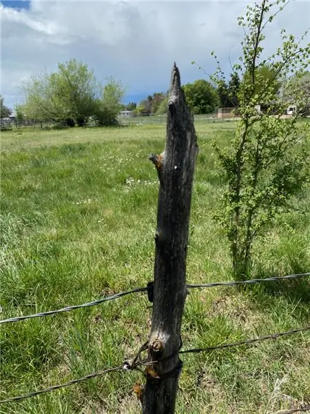 У тебя есть шрамы? - Связь со Христом