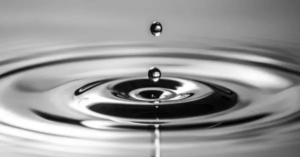 Общественное достояние через Pixabay