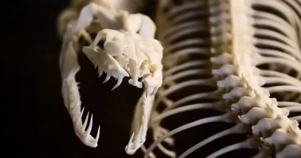 CC0 Общественное достояние через Pixabay