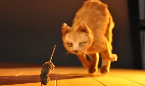 CC 2.0 через Flickr, автор Jeroen Moes