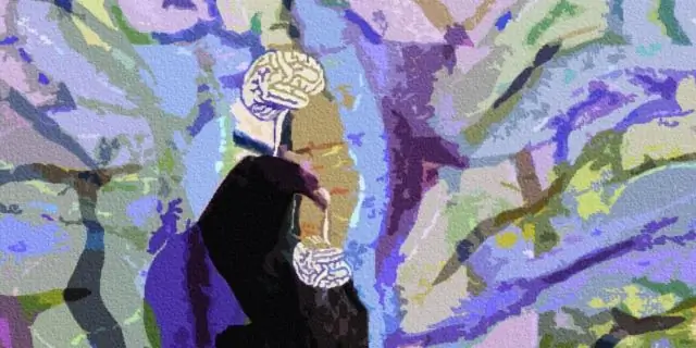 Почему Рэйчел это сделала? О Долезале, идентичности и построении смысла