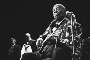 8225656972_02392c9aac