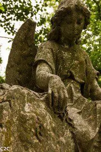 14430567715_0f17f5feed