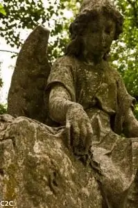 ИГИЛ и психология террора