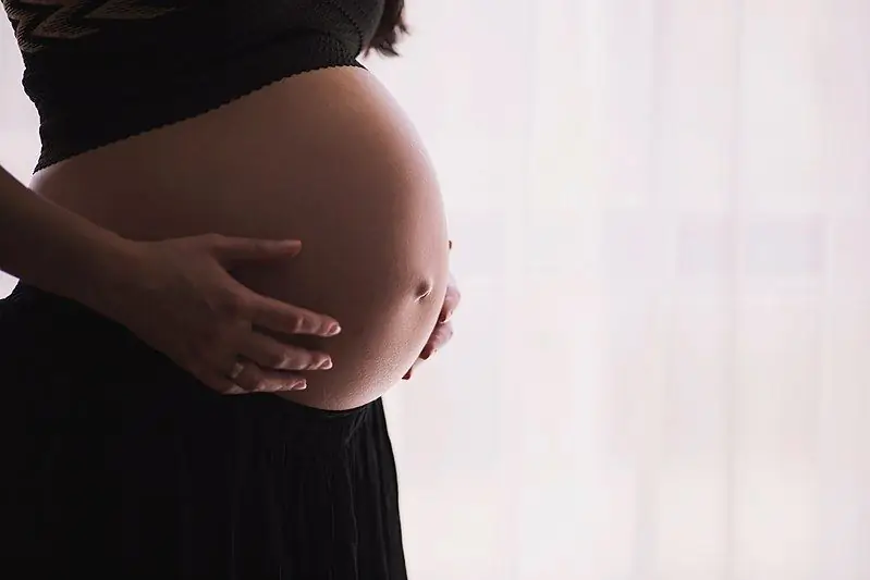 Файл:Pregnant-woman