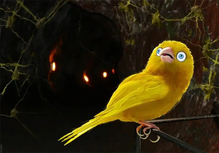 Что вы примете в качестве канарейки в угольной шахте для окружающей среды?