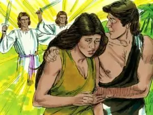 Свобода воли и выбор