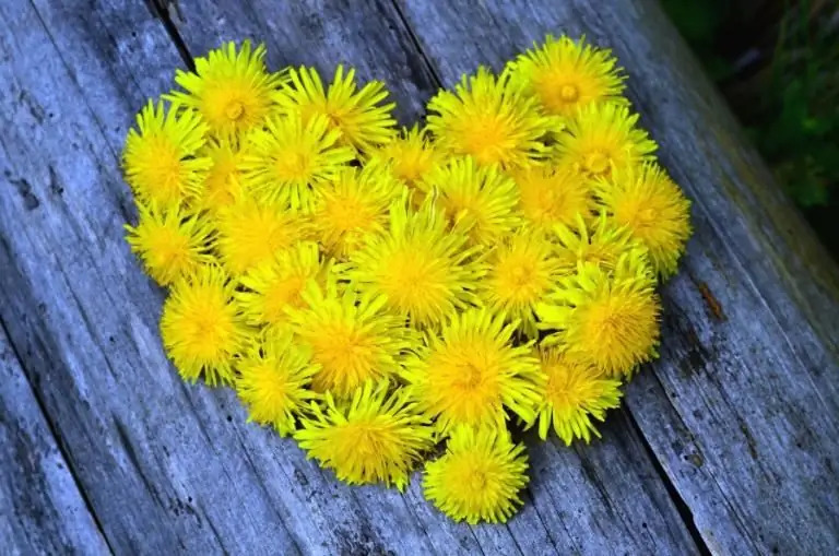 Свидетельствовать о невидимом и невысказанном