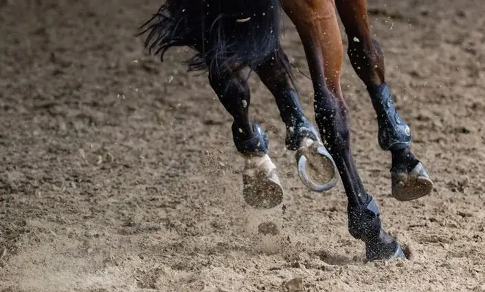 В наших испытаниях Бог ведет нас к Своей доброте