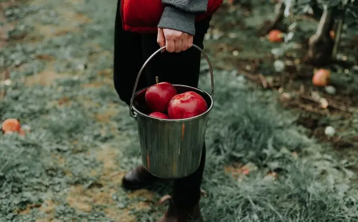 Обретение счастья во Христе не происходит автоматически