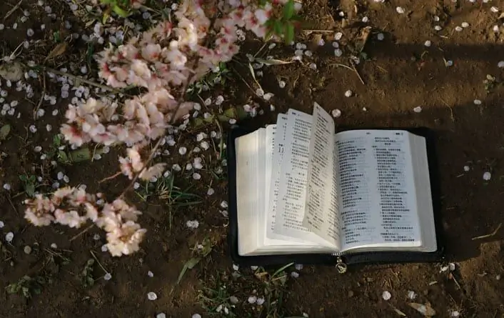 Божье Слово драгоценно для преследуемых