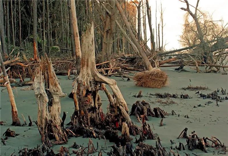 Джош Харрис и болото "Деконструкции"