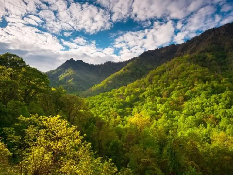 Путешествие на вершину в одиночку