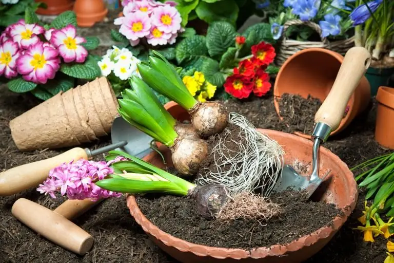 Испытание чувств