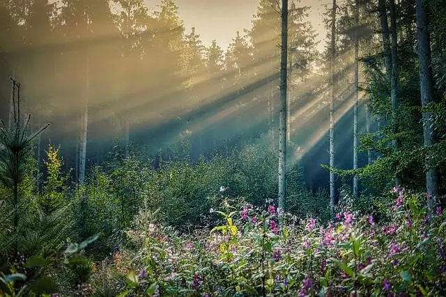 Во что я хочу верить