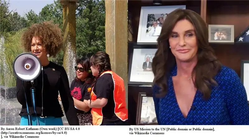 Реальная разница между Рэйчел Долезал и Кейтлин Дженнер