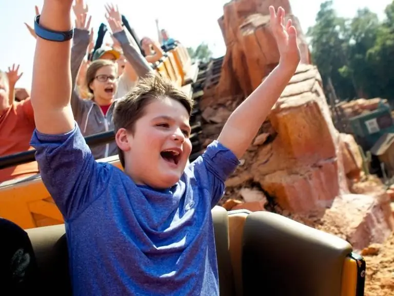 Природа веселья