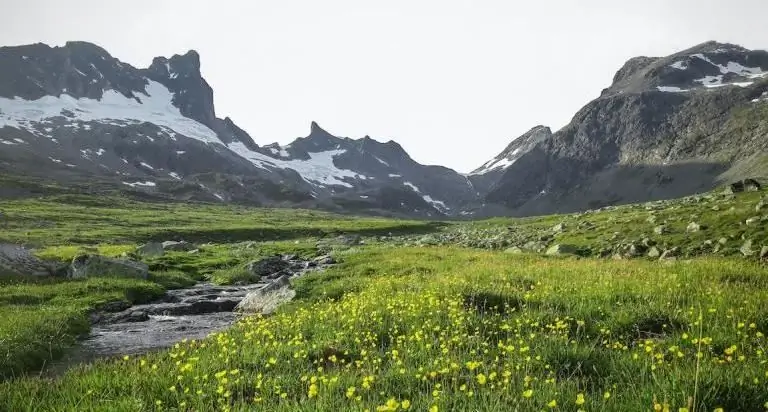 Пасторинг, перестановка Бога и путь созерцания