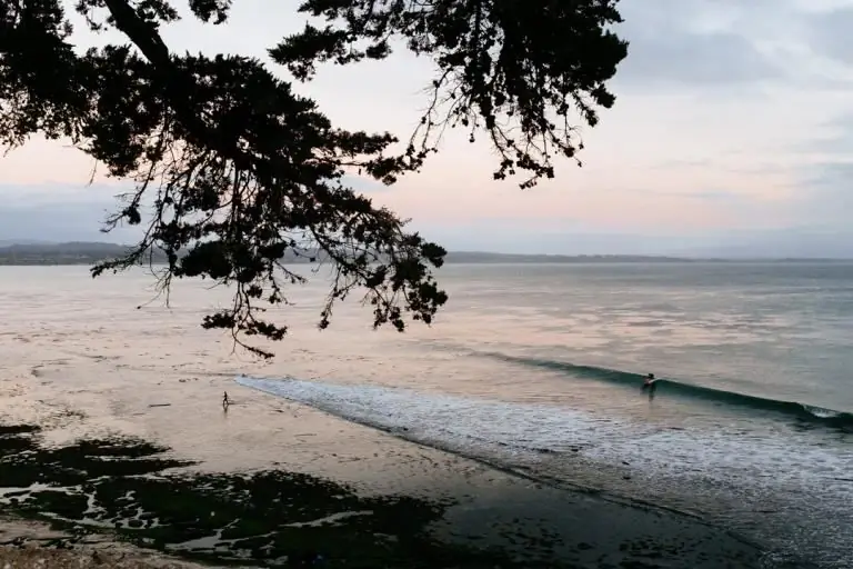 Вы бы доверяли статье о серфинге от человека, который не занимается серфингом? - Самудра