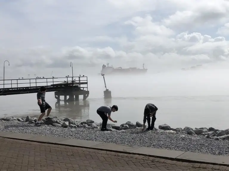 Кризисные времена требуют кризисного воспитания или кризисного обучения. Во время этой пандемии Covid-19 важно, чтобы родители отдавали приоритет психическому здоровью, а не успеваемости детей и взрос