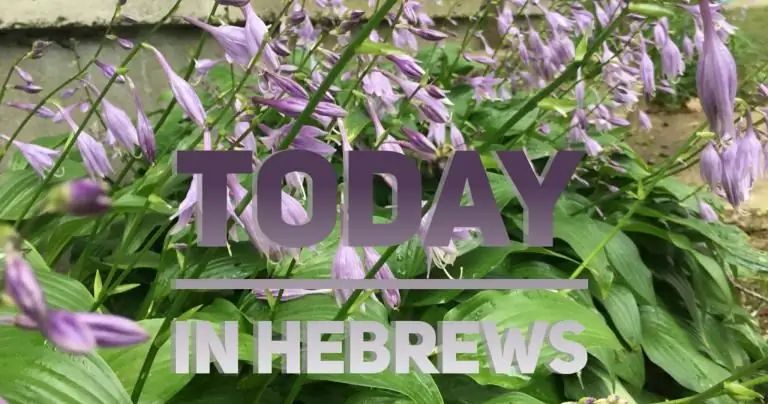 Сегодня по-еврейски: This Day or Today