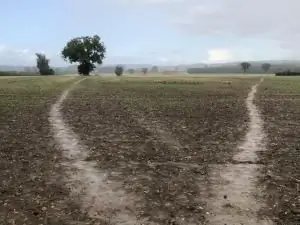 Может ли место сделать нас святыми?