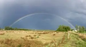 Обида и радость в псалмах