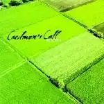 Лучший КМС 2