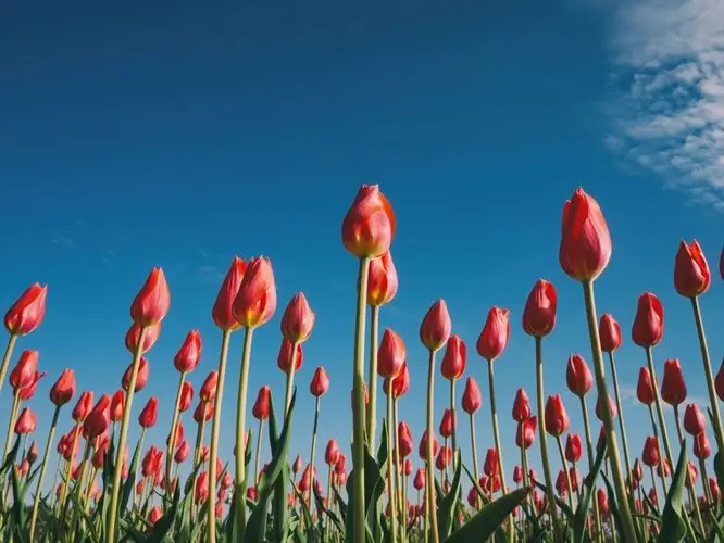 Как освободить место для чуда Божьего