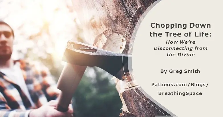 Рубим Древо Жизни: Как мы отключаемся от Божественного Рубим Древо Жизни: Как мы отключаемся от Божественного