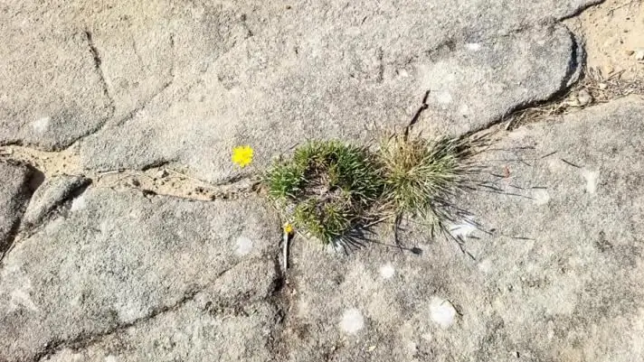 Откладывание естественного человека - Искатель духовной истины - My Tesserae