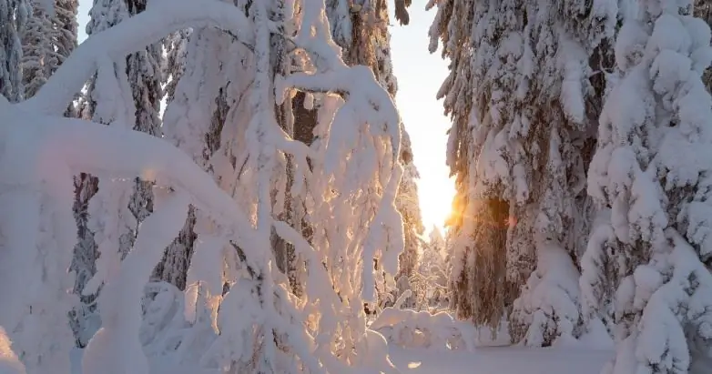 Найти покой в жизненных бурях