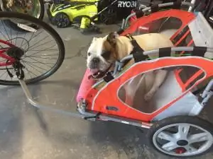 Оценка чужого пути