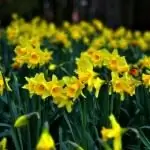 Настало время надежды и размышлений