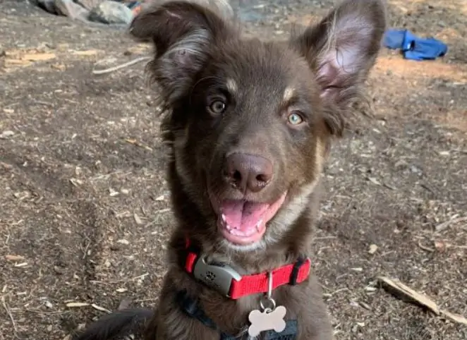 Горе о незавершенном Горе о незавершенном: тяжело нести, но не имеет смысла