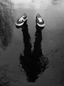 25686-Невидимка