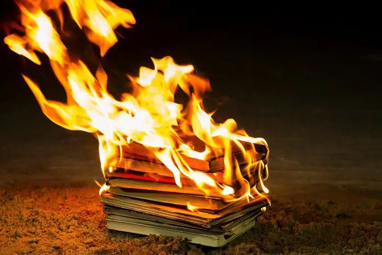 Сжигание книг? Давайте противостоять реальной проблеме